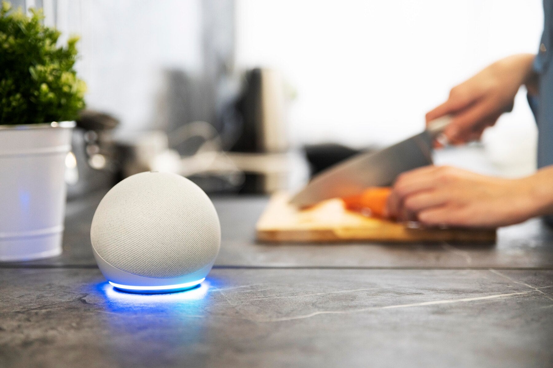 5 Home Robots Designed to Make Life Easier